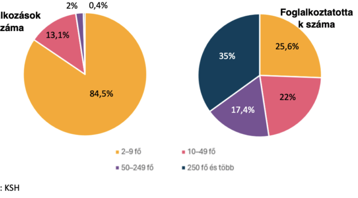 Rekordtempó a Demján Sándor Programban: 25 milliárd forint már kifizetésre került