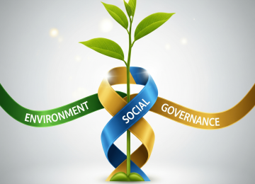Green-Focused Marketing Strategy for SMEs – Building Authentic ESG Communication