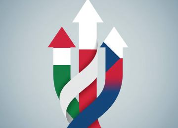 SME Internationalization: Lessons from Poland and the Czech Republic