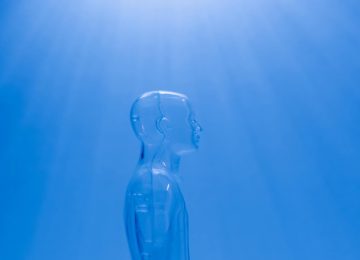 Használt sütőolajból milliárdos üzlet – inspiráló magyar sikersztori a Biofilterről